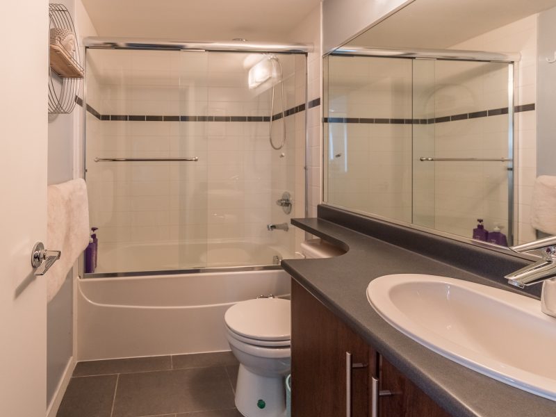 Shared Apartment
