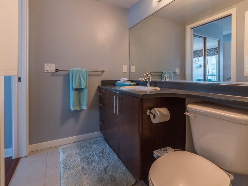 Shared Apartment