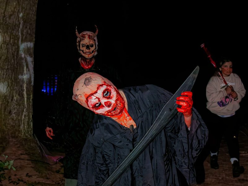 SFX Makeup Instructor Wanted At Summer Sleepaway Camp