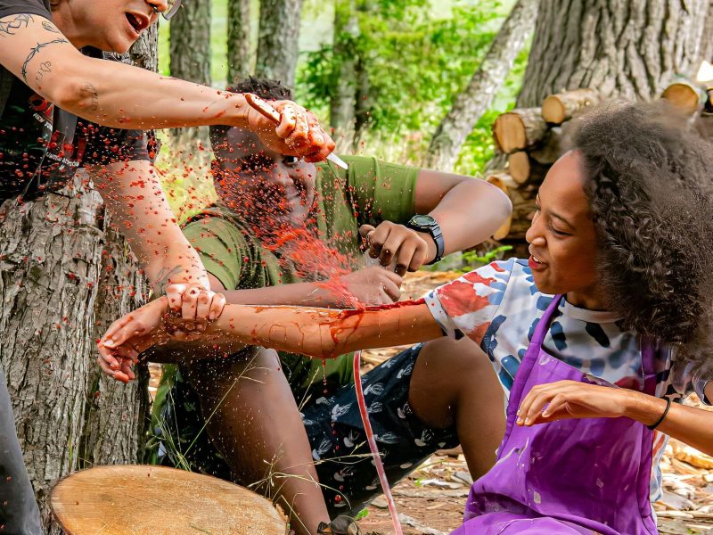 SFX Makeup Instructor Wanted At Summer Sleepaway Camp